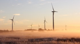 windmills during dawn