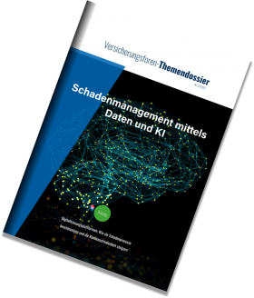 Cover Broschüre Schadenmanagement mittels Daten und KI